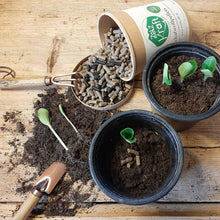 Lade das Bild in den Galerie-Viewer, Zetz Kraft - Schafwollpellets aus dem Almenland